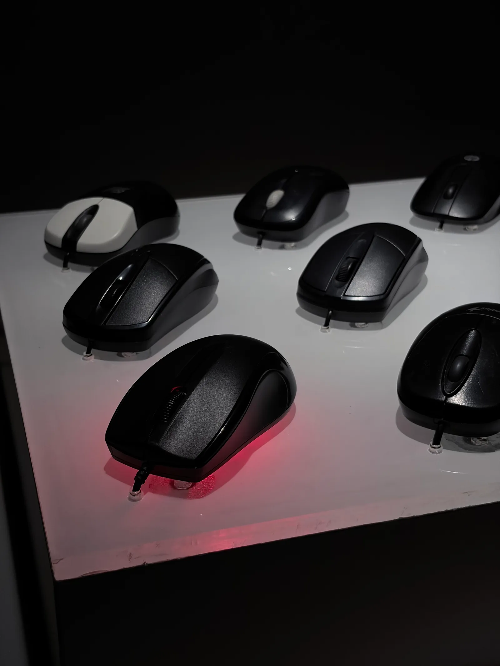 How Are Things at the Office?, installation of clicking computer mice, view 3