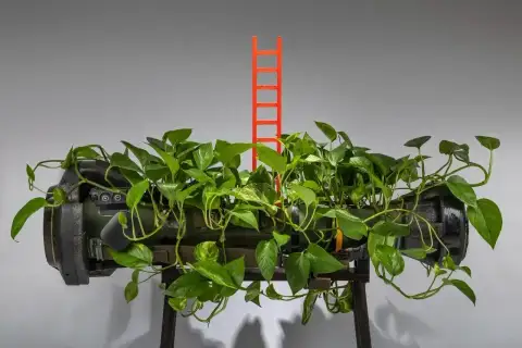 Ladder of Virtues, installation with NLAW rocket and living vine, view 1