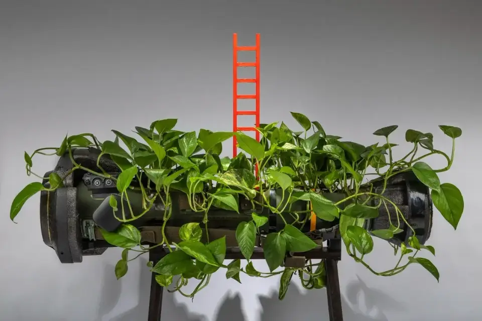 Ladder of Virtues, installation with NLAW rocket and living vine, view 1