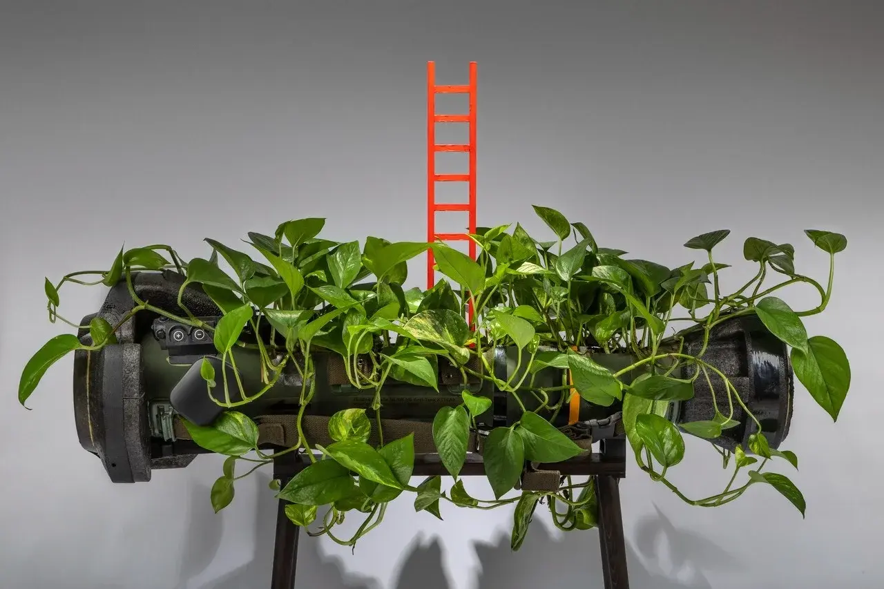Ladder of Virtues, installation with NLAW rocket and living vine, view 1