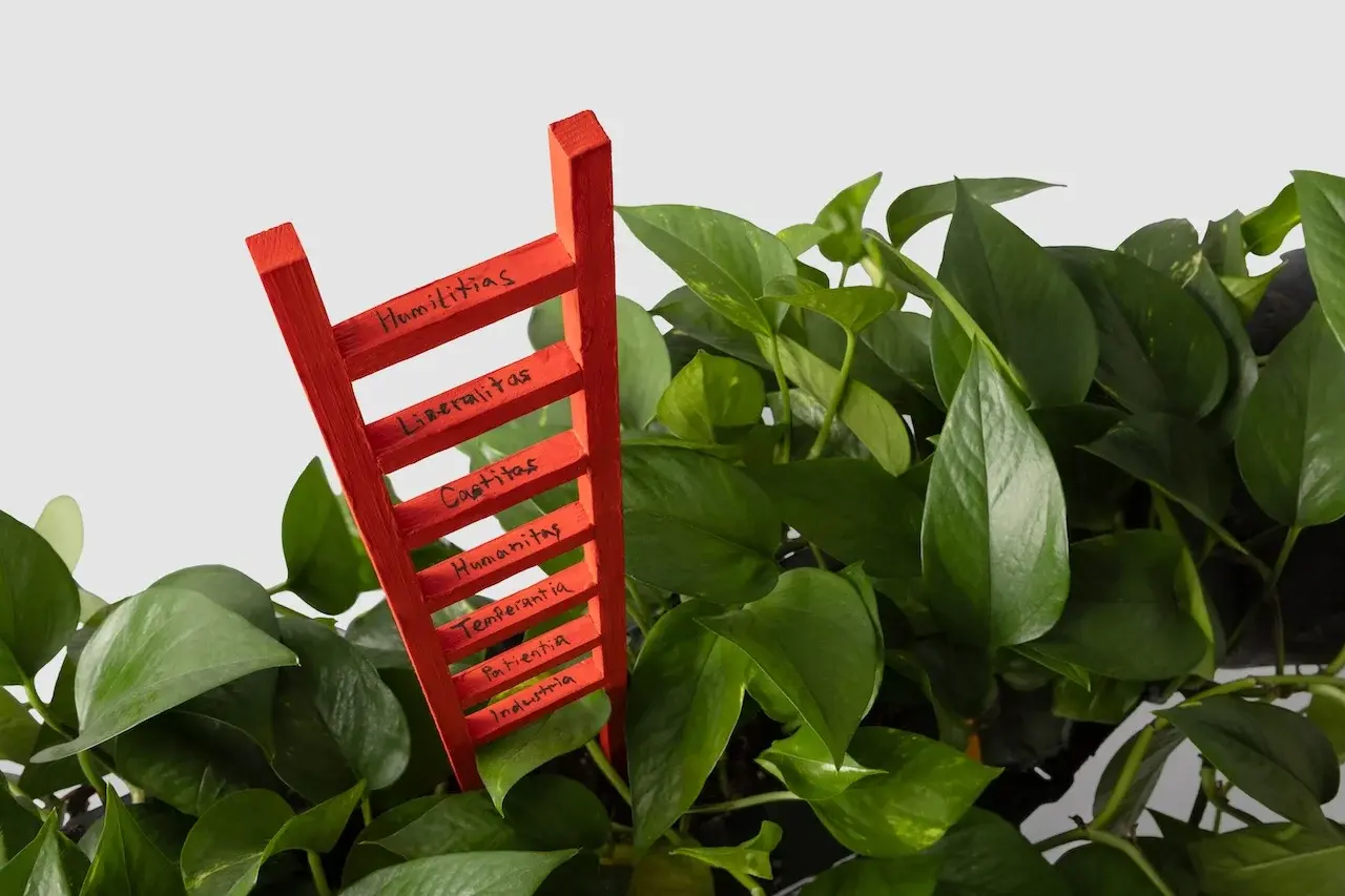 Ladder of Virtues, installation with NLAW rocket and living vine, view 3