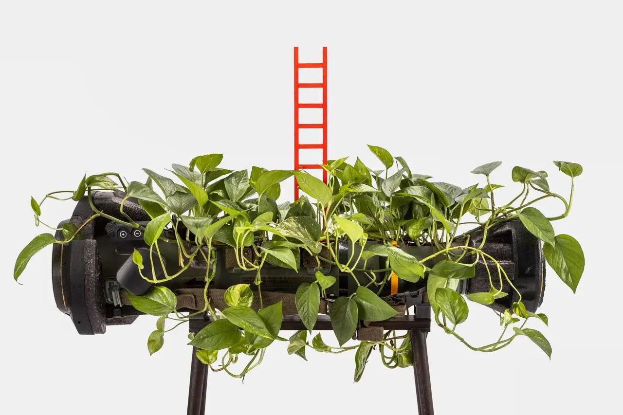 Ladder of Virtues, installation with NLAW rocket and living vine, view 4