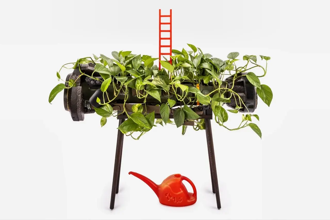 Ladder of Virtues, installation with NLAW rocket and living vine, view 5