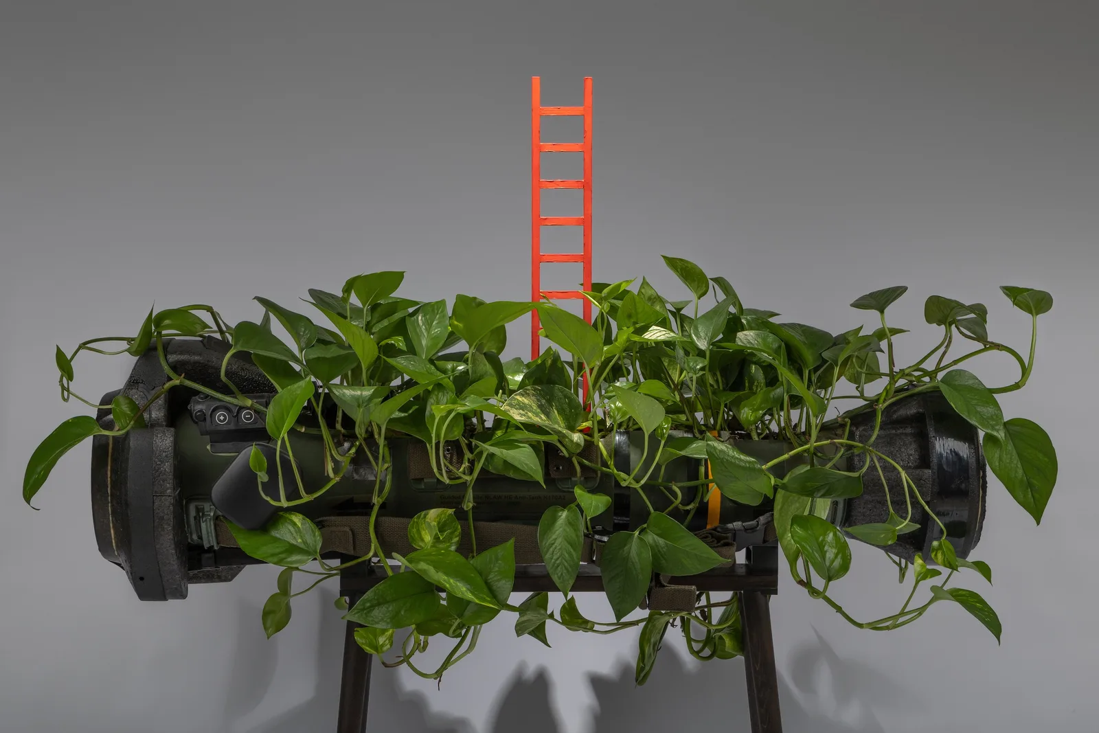 Ladder of Virtues, installation with NLAW rocket and living vine, view 4