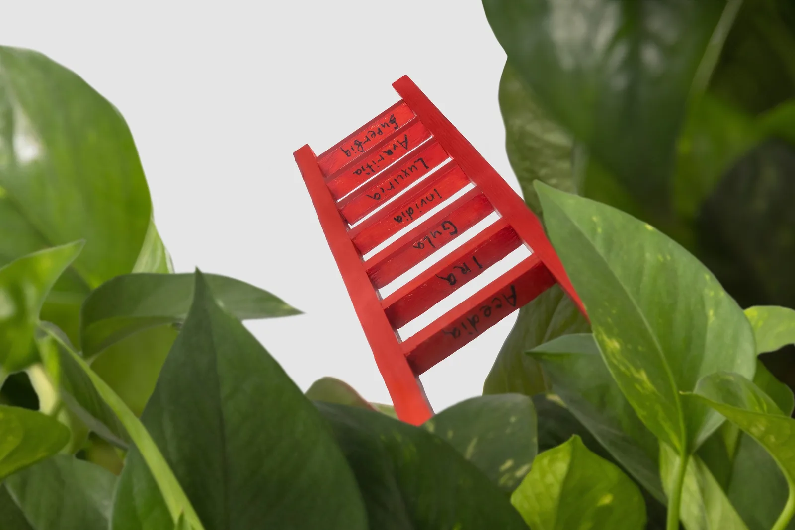 Ladder of Virtues, installation with NLAW rocket and living vine, view 3