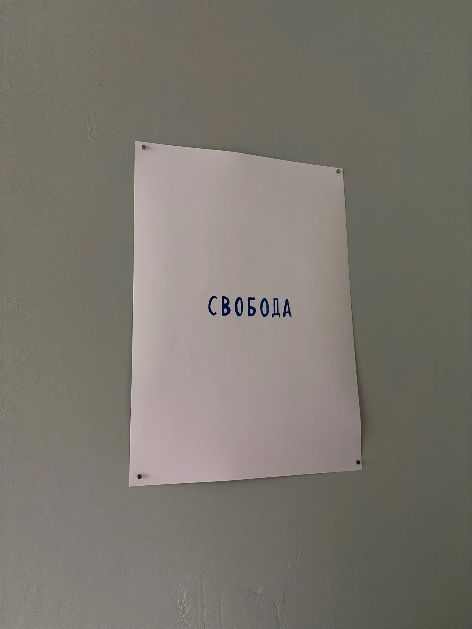 Russian State-Owned, silkscreen series on cardboard, Свобода / "Freedom"